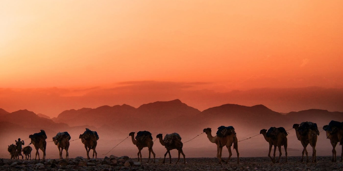 A caravan of camels in the desert. The sun sets and paints the sky orange. Mountains are visible in the background.